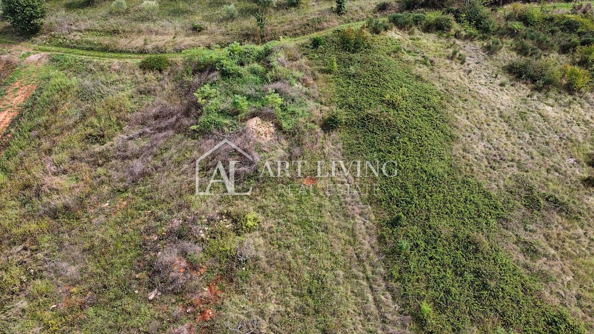 Umago, Dintorni – Terreno Agricolo Attraente di 2.600 m² in Ottima Posizione