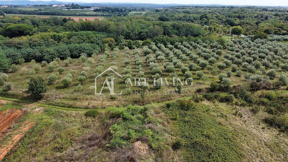 Umago, Dintorni – Terreno Agricolo Attraente di 2.600 m² in Ottima Posizione