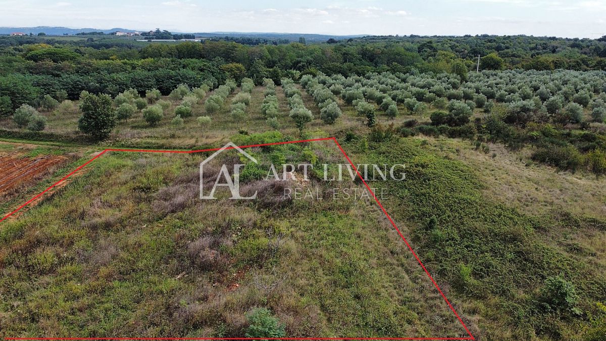 Umago, Dintorni – Terreno Agricolo Attraente di 2.600 m² in Ottima Posizione