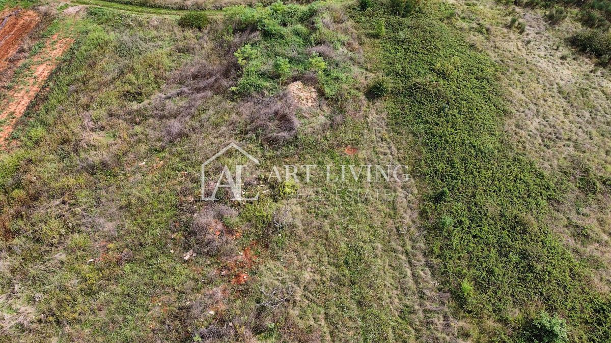 Umago, Dintorni – Terreno Agricolo Attraente di 2.600 m² in Ottima Posizione