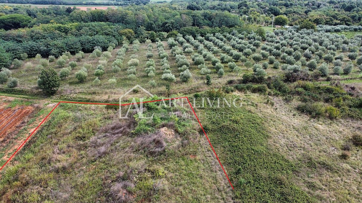 Umago, Dintorni – Terreno Agricolo Attraente di 2.600 m² in Ottima Posizione