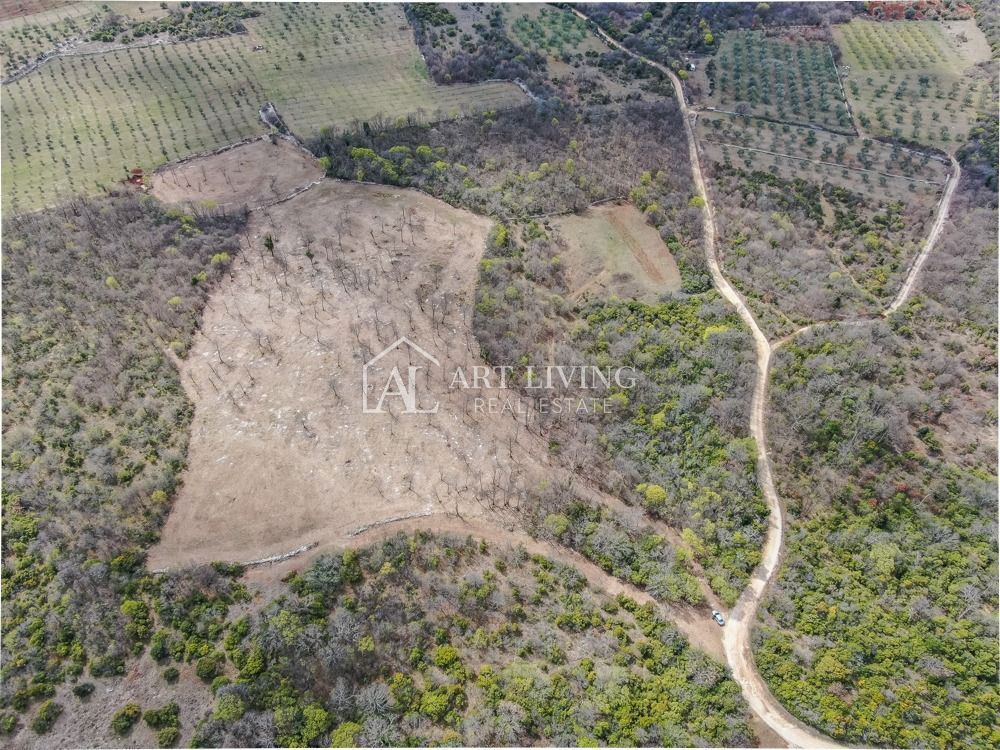 Bale- prezioso terreno agricolo 22.821 m2, a 4 km dal mare