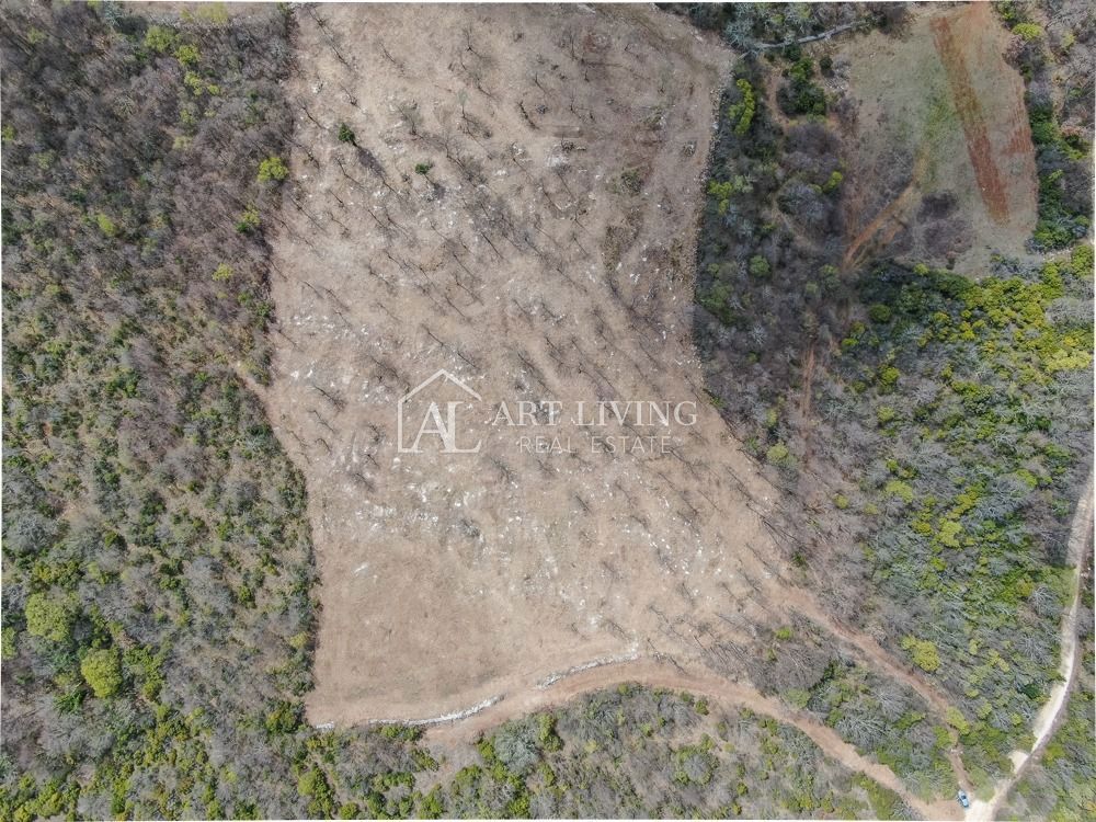 Bale- prezioso terreno agricolo 22.821 m2, a 4 km dal mare