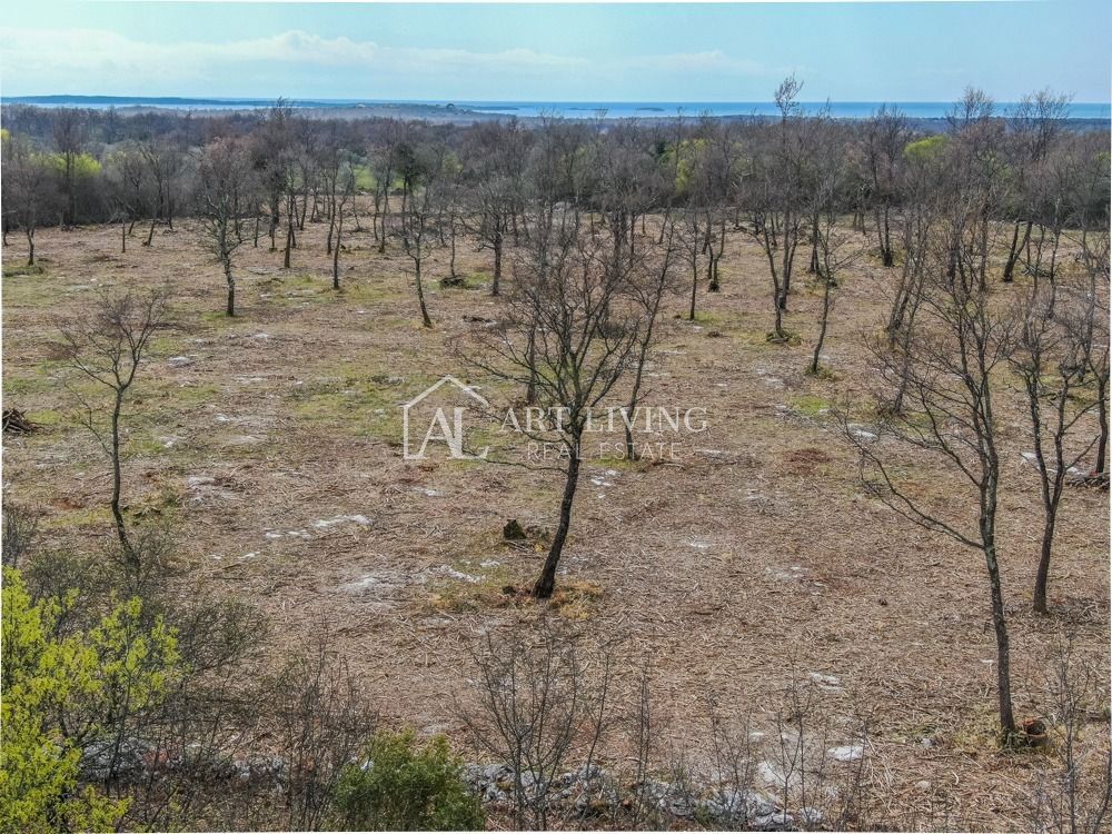 Bale- prezioso terreno agricolo 22.821 m2, a 4 km dal mare