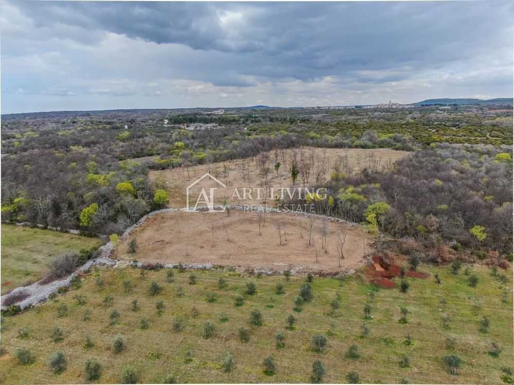 Bale- prezioso terreno agricolo 22.821 m2, a 4 km dal mare