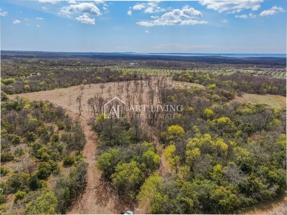 Bale- prezioso terreno agricolo 22.821 m2, a 4 km dal mare