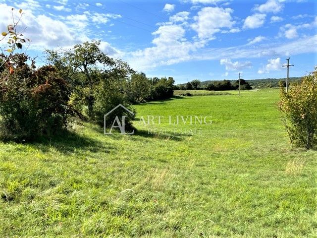 Grožnjan-dintorni, attraente terreno edificabile 7000 m2