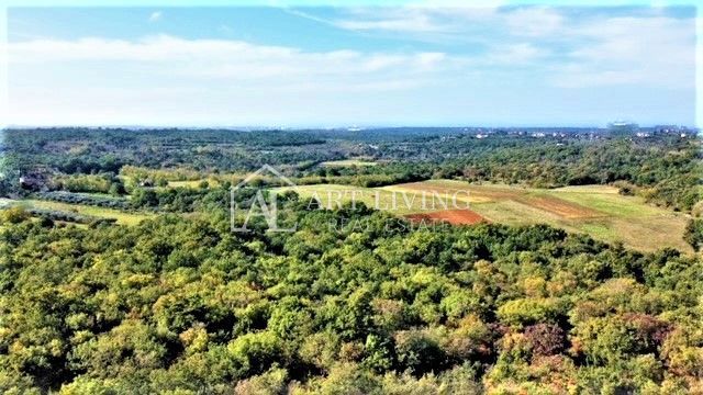 Umago-dintorni, attraente terreno edificabile 560 m2