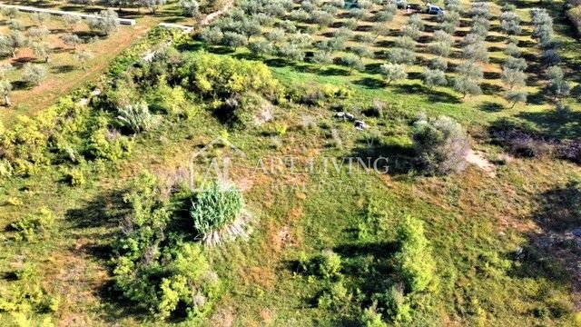 Umago-dintorni, attraente terreno edificabile 560 m2