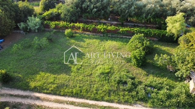 Umago - dintorni, attraente terreno edificabile a 400 metri dal mare.