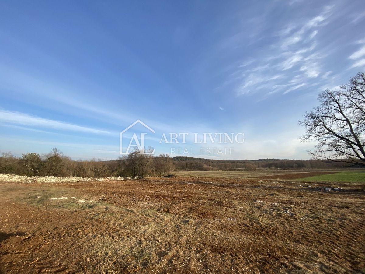 Istria - Valle, Terreno agricolo di pregio 11.200 m2