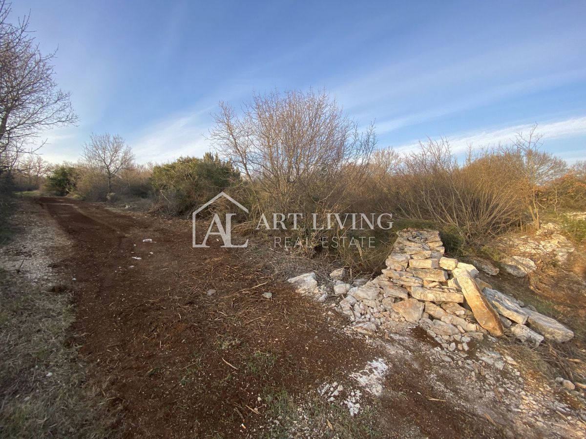 Istria - Valle, Terreno agricolo di pregio 11.200 m2