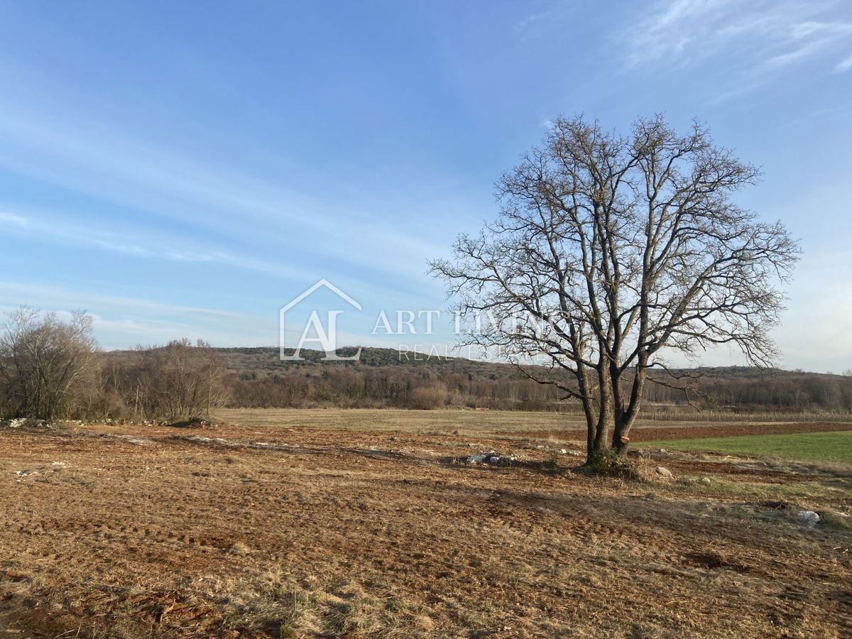 Istria - Valle, Terreno agricolo di pregio 11.200 m2