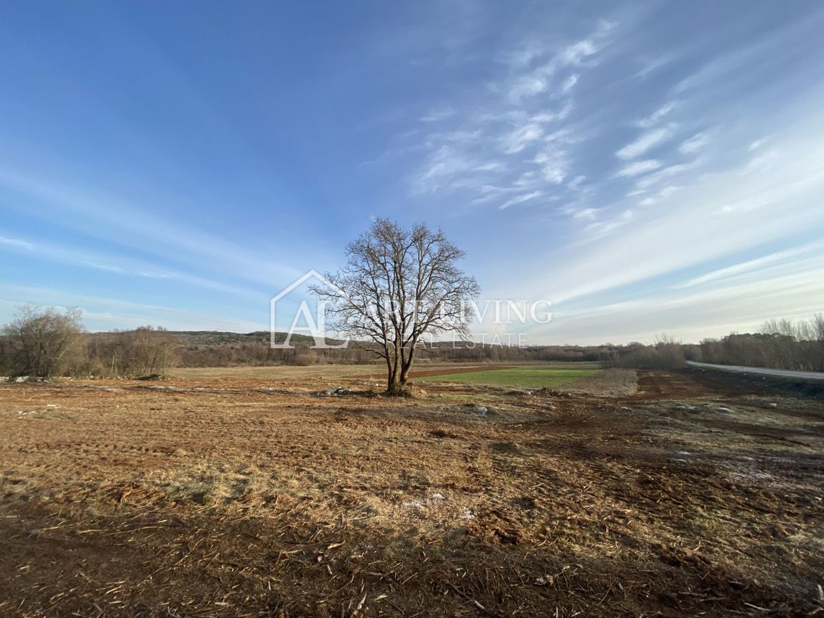 Istria - Valle, Terreno agricolo di pregio 11.200 m2