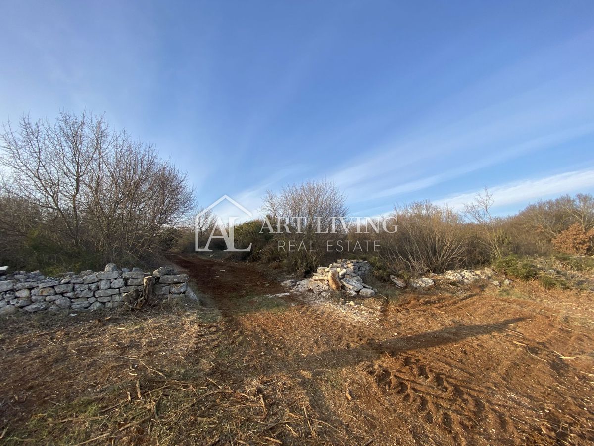 Istria - Valle, Terreno agricolo di pregio 11.200 m2