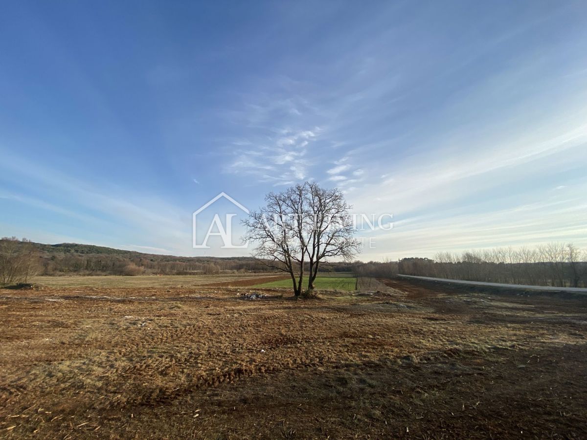 Istria - Valle, Terreno agricolo di pregio 11.200 m2