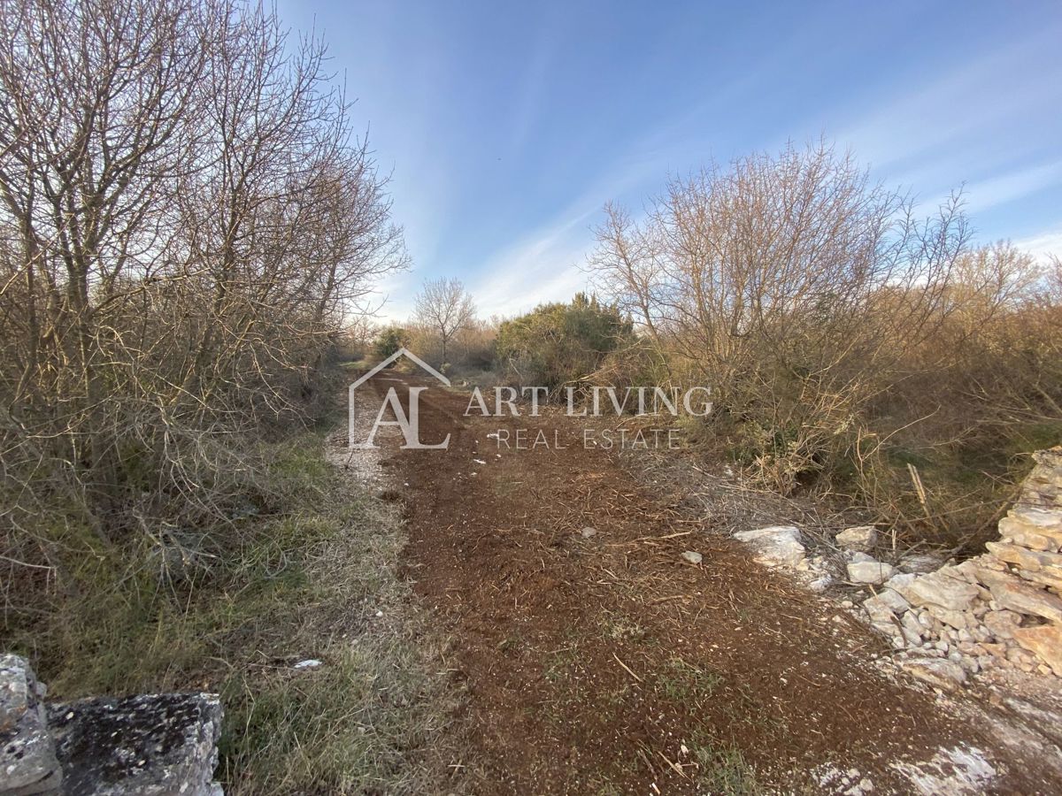 Istria - Valle, Terreno agricolo di pregio 11.200 m2