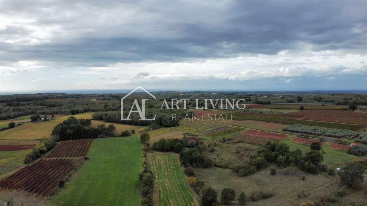 Parenzo, dintorni, attraente terreno edificabile nello splendido paesaggio istriano