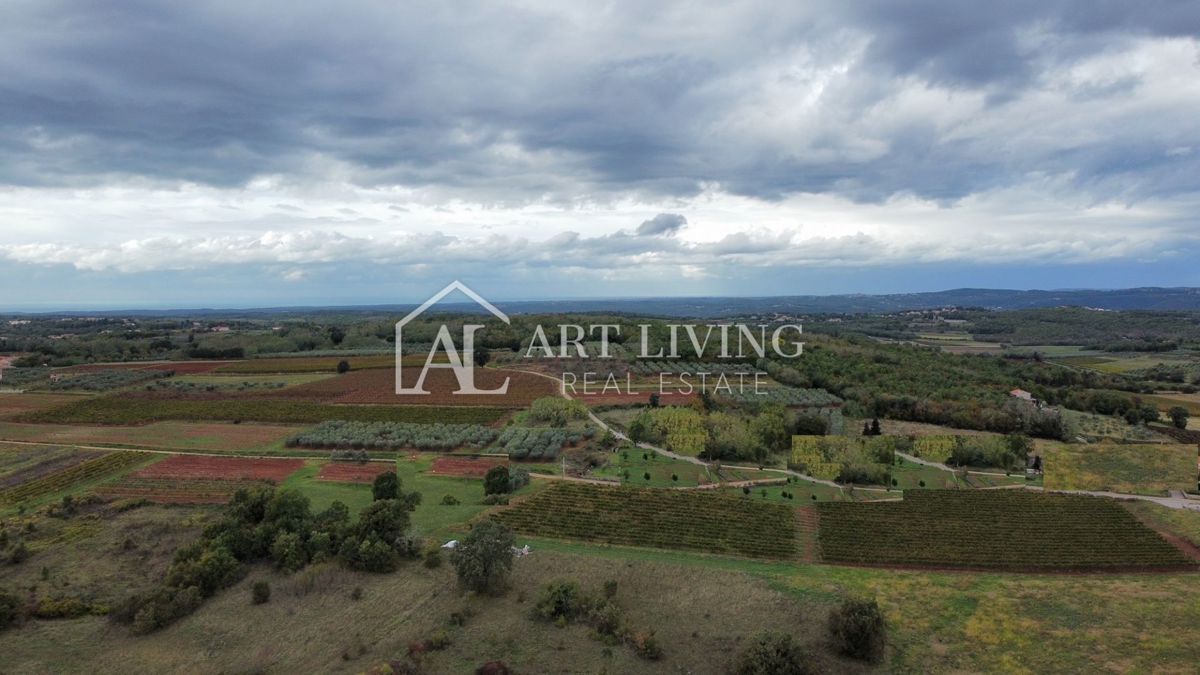 Parenzo, dintorni, attraente terreno edificabile nello splendido paesaggio istriano