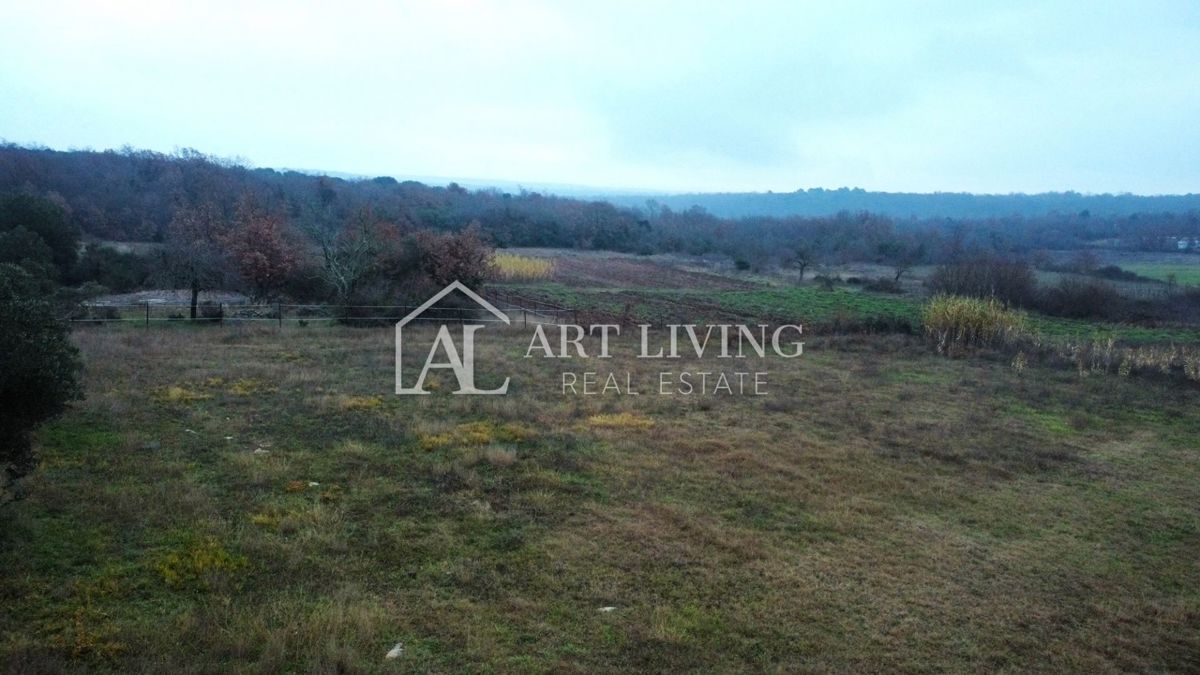 Istria, Rovigno, dintorni - una casa affascinante con un grande terreno
