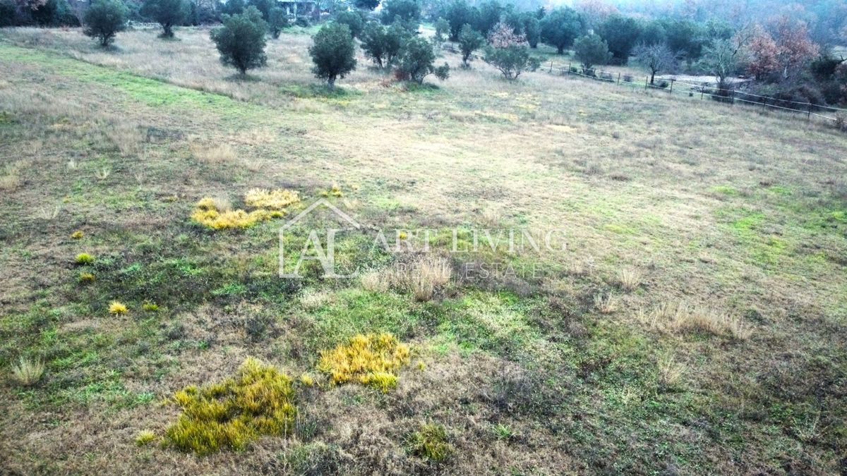 Istria, Rovigno, dintorni - una casa affascinante con un grande terreno