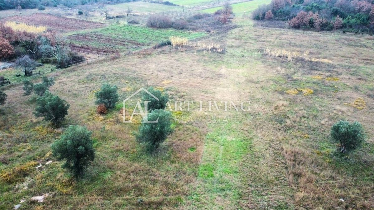Istria, Rovigno, dintorni - una casa affascinante con un grande terreno