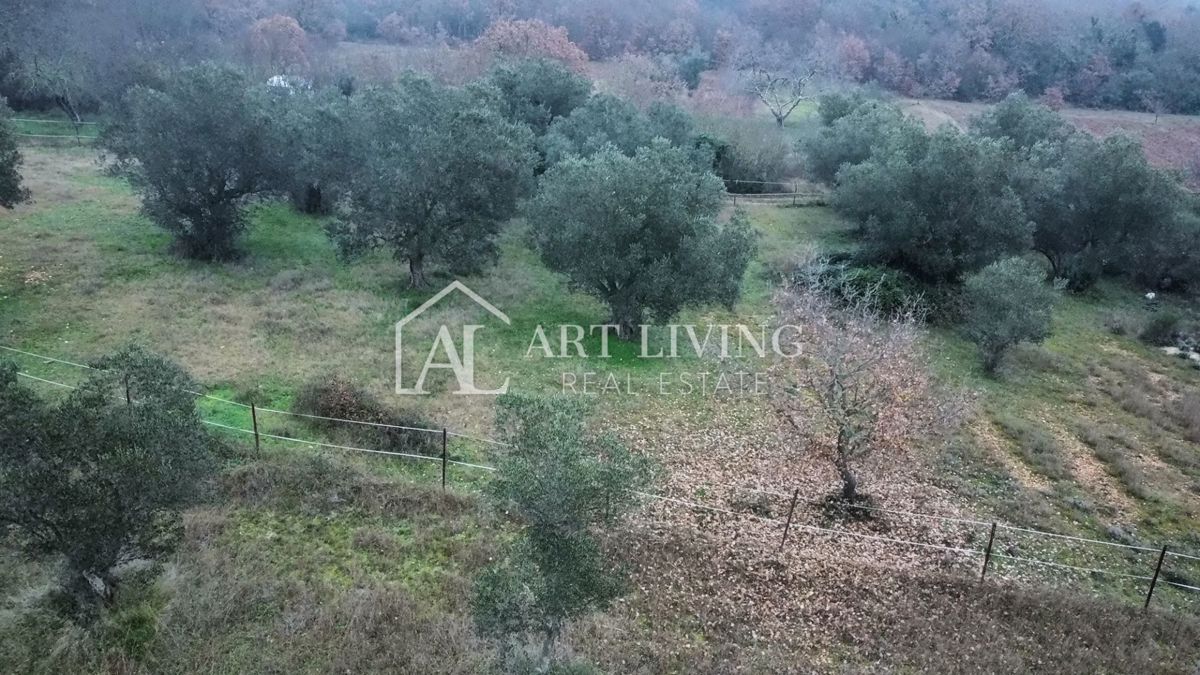 Istria, Rovigno, dintorni - una casa affascinante con un grande terreno