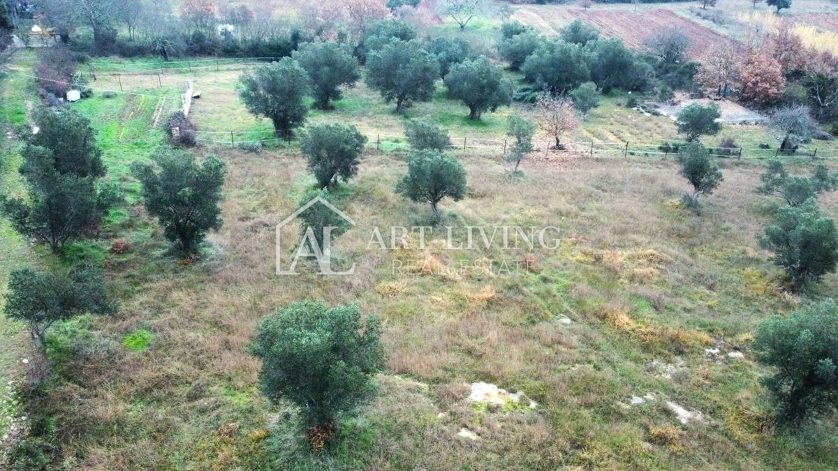 Istria, Rovigno, dintorni - una casa affascinante con un grande terreno