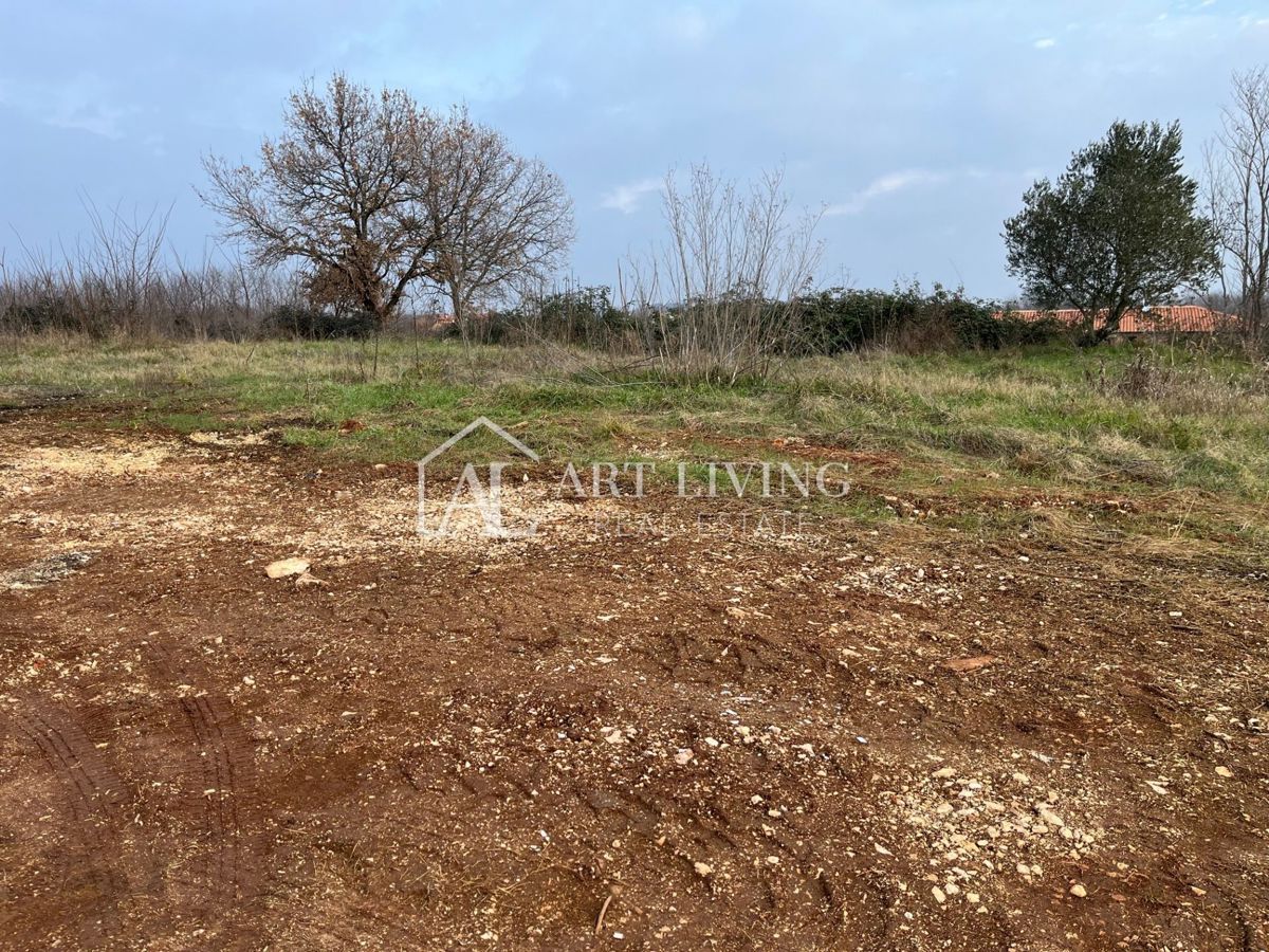 Istria, Umago, dintorni - attraente terreno edificabile con progetto - OCCASIONE!!