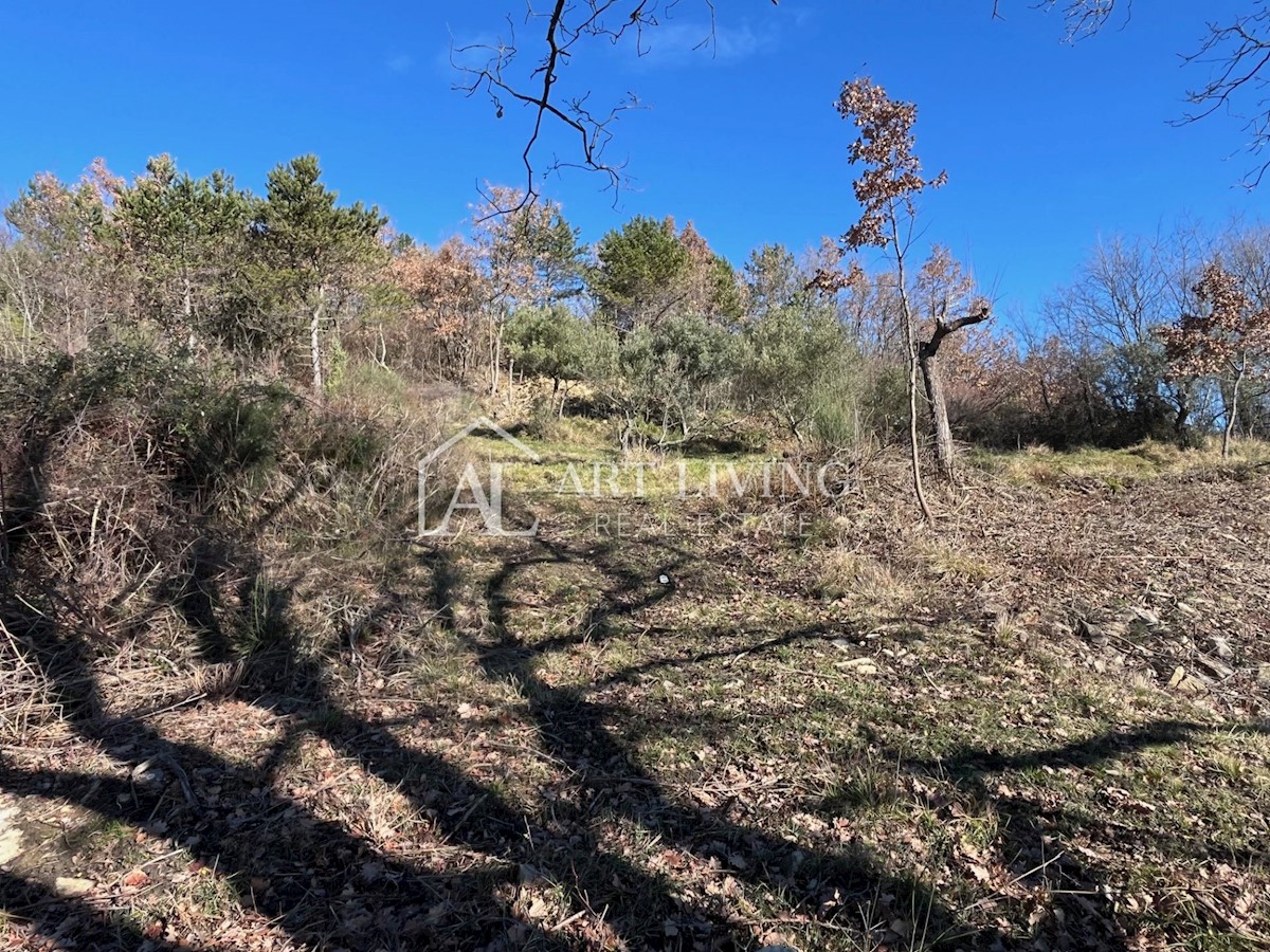 ISTRIA, GRONJAN, dintorni - bellissimo terreno edificabile con vista panoramica sul mare