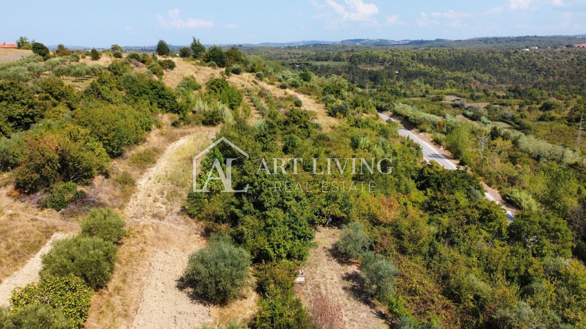 Istria, Buie - ampio terreno edificabile in una posizione attraente