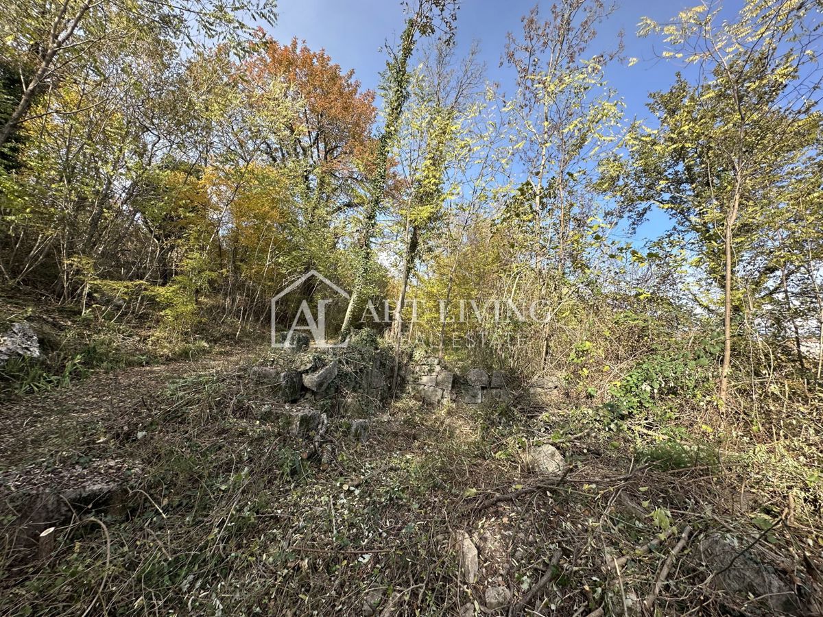  Istria, Buje, dintorni - terreno agricolo di 20.000 m² con una struttura delimitata.