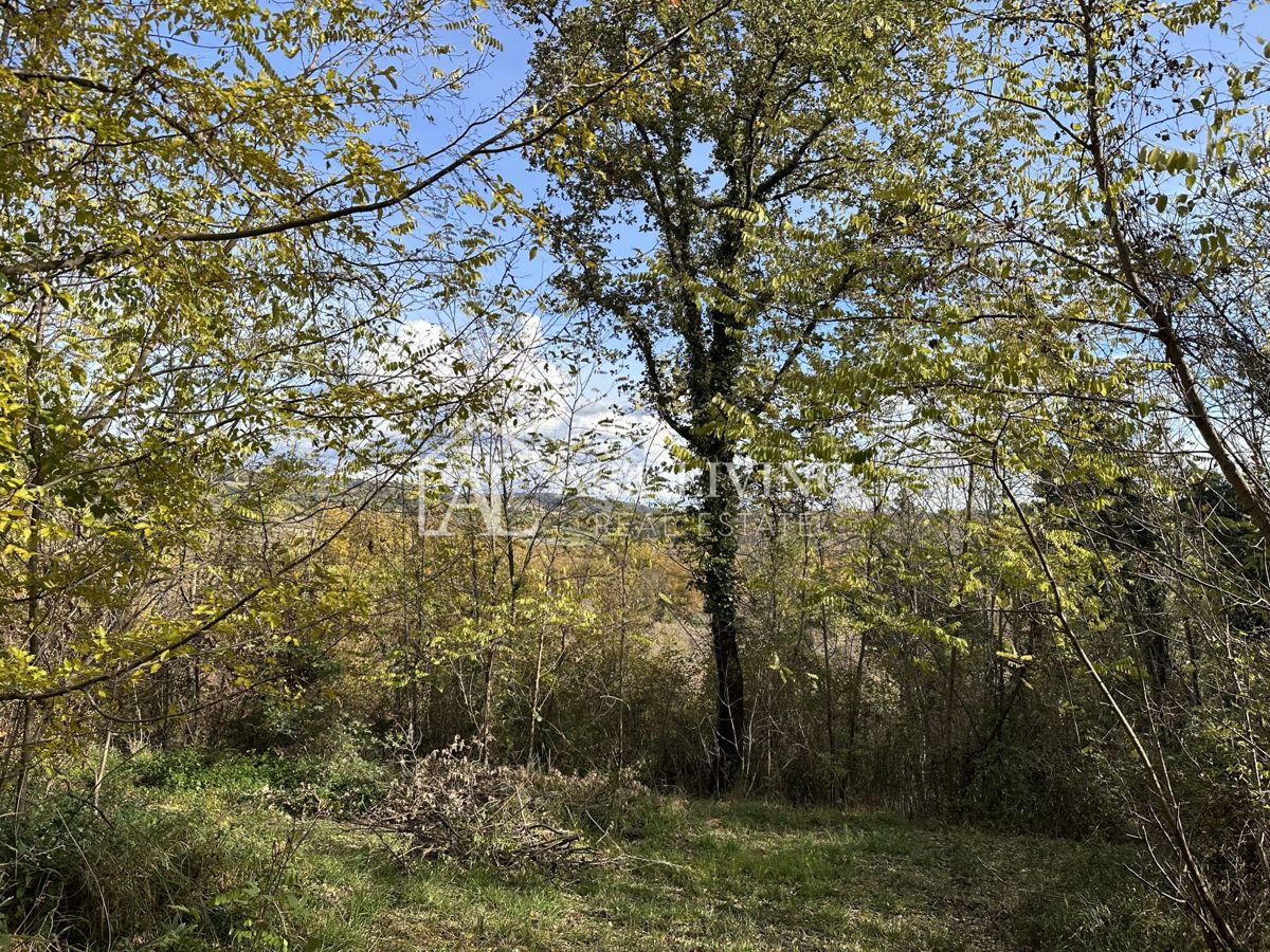  Istria, Buje, dintorni - terreno agricolo di 20.000 m² con una struttura delimitata.