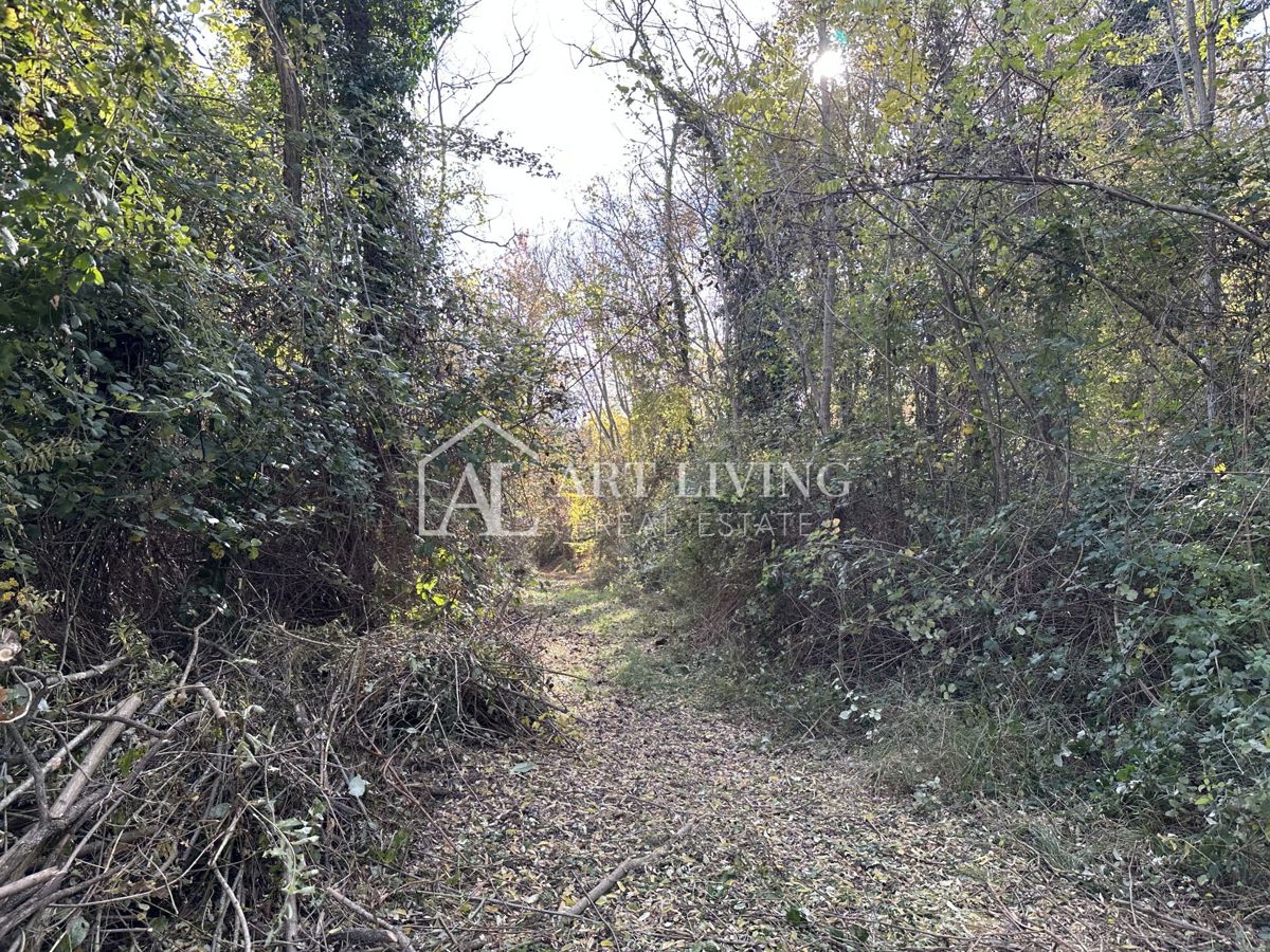  Istria, Buje, dintorni - terreno agricolo di 20.000 m² con una struttura delimitata.