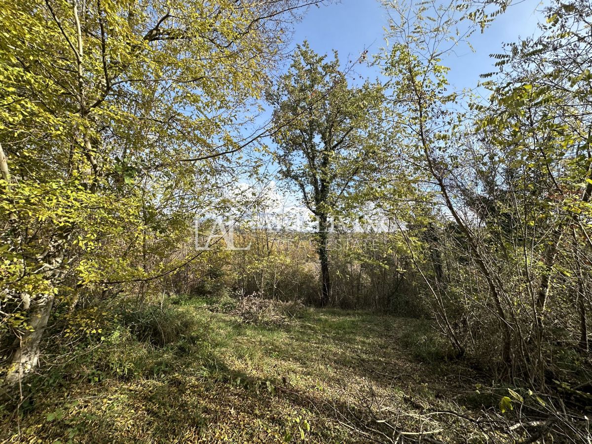  Istria, Buje, dintorni - terreno agricolo di 20.000 m² con una struttura delimitata.