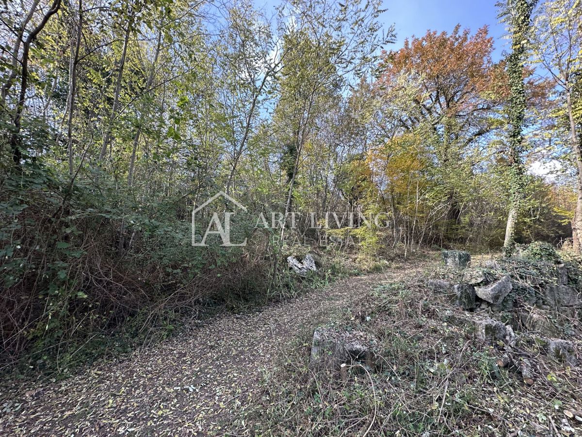  Istria, Buje, dintorni - terreno agricolo di 20.000 m² con una struttura delimitata.