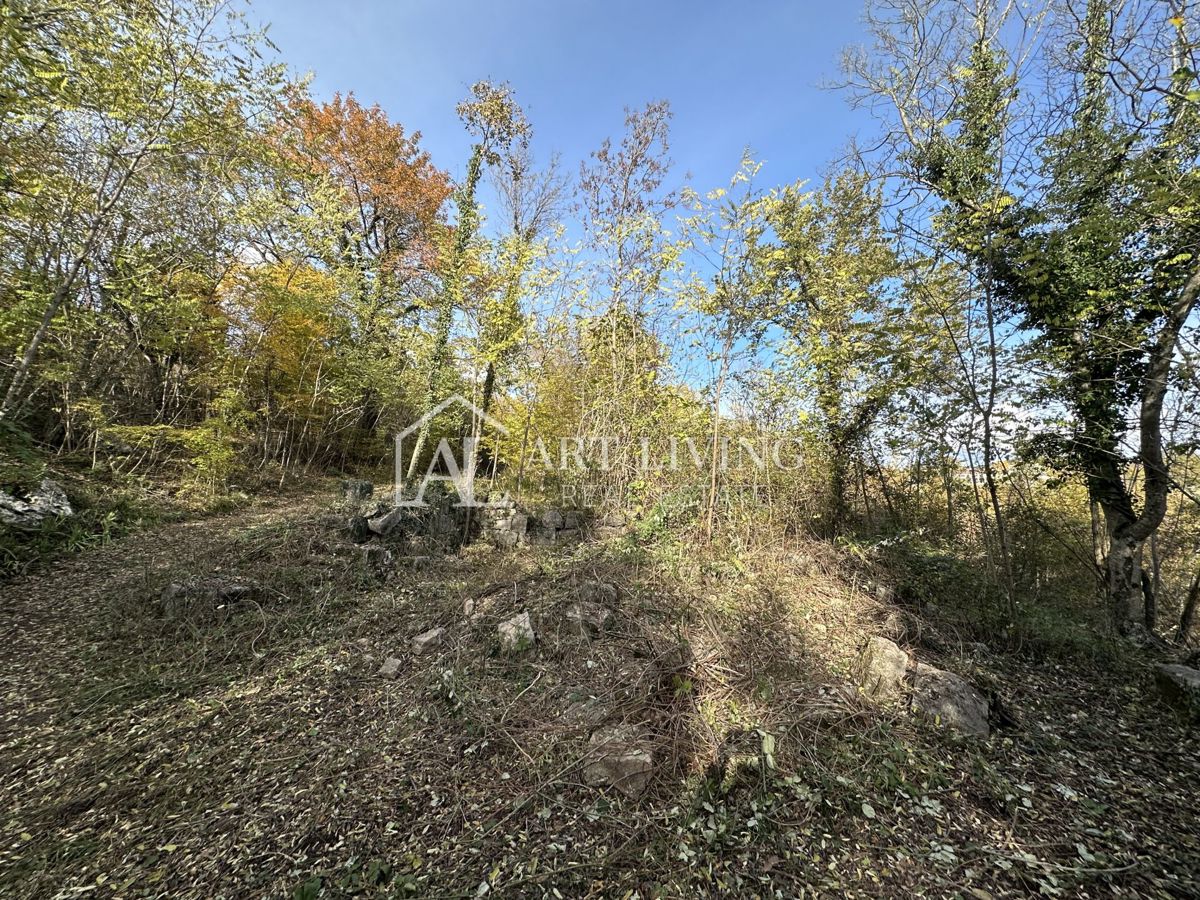  Istria, Buje, dintorni - terreno agricolo di 20.000 m² con una struttura delimitata.