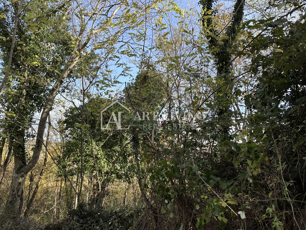  Istria, Buje, dintorni - terreno agricolo di 20.000 m² con una struttura delimitata.