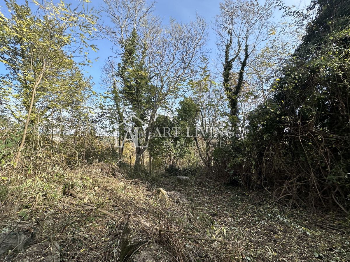  Istria, Buje, dintorni - terreno agricolo di 20.000 m² con una struttura delimitata.