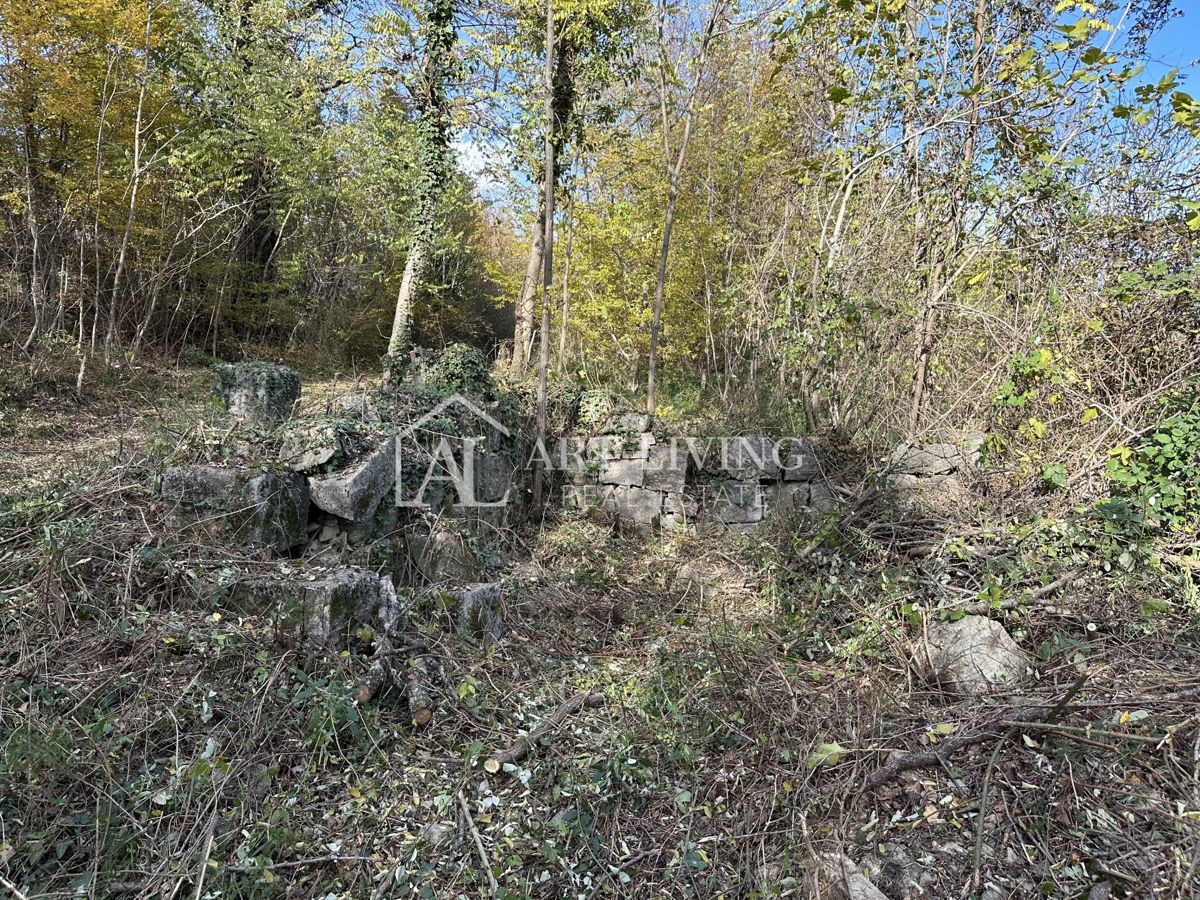  Istria, Buje, dintorni - terreno agricolo di 20.000 m² con una struttura delimitata.