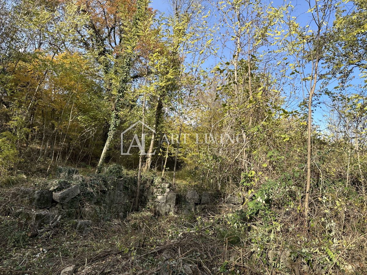  Istria, Buje, dintorni - terreno agricolo di 20.000 m² con una struttura delimitata.