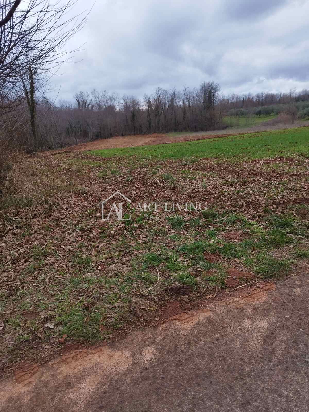 Istria, Barban - ampi terreni agricoli e forestali vicino a Barban