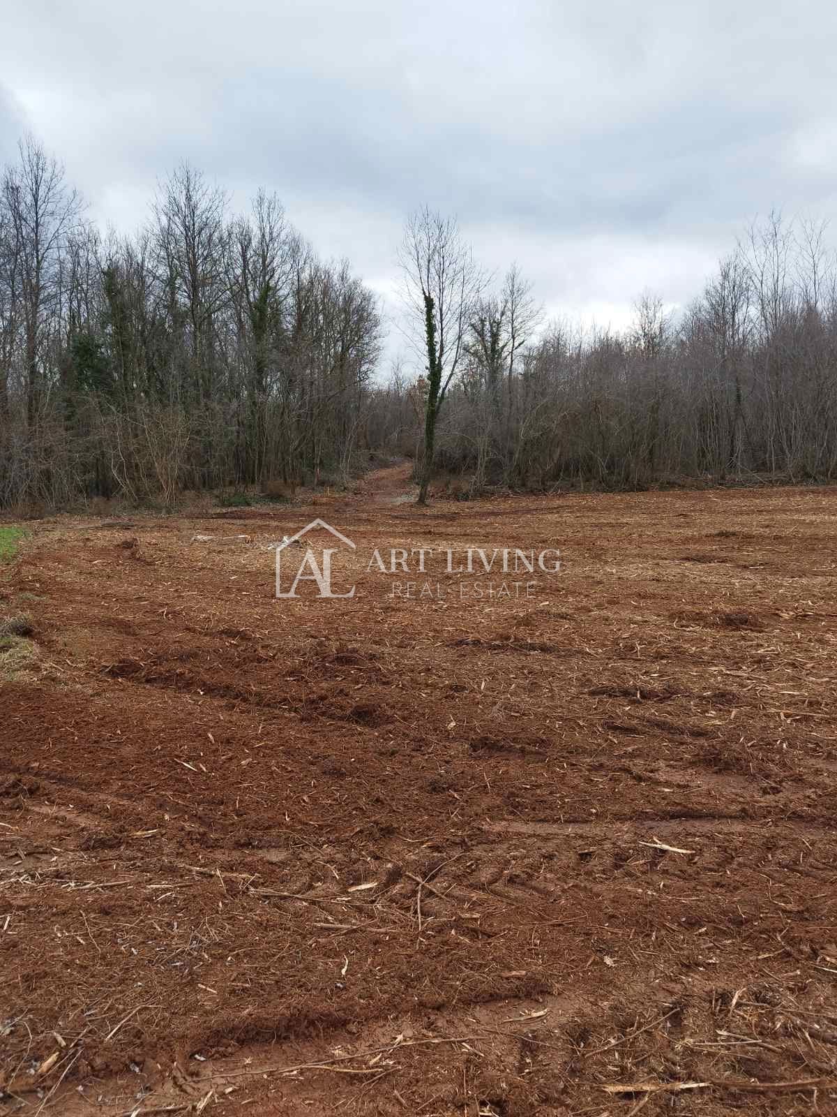 Istria, Barban - ampi terreni agricoli e forestali vicino a Barban