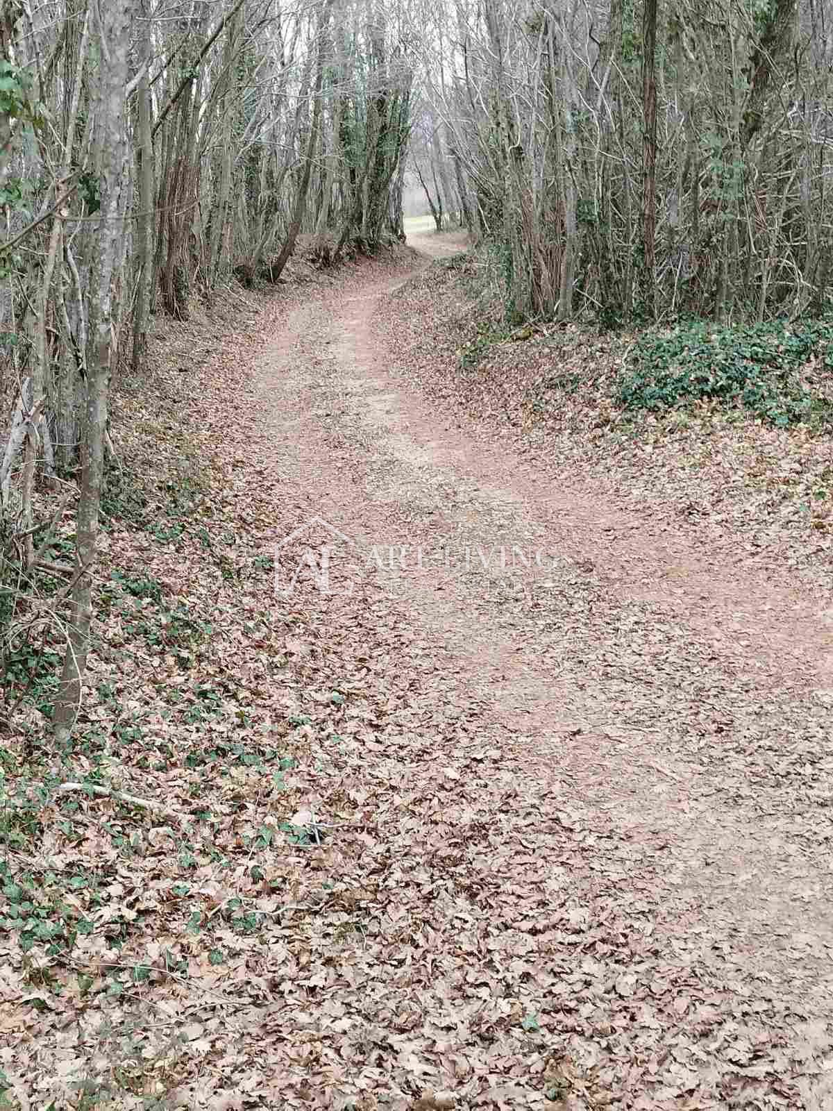 Istria, Barban - ampi terreni agricoli e forestali vicino a Barban