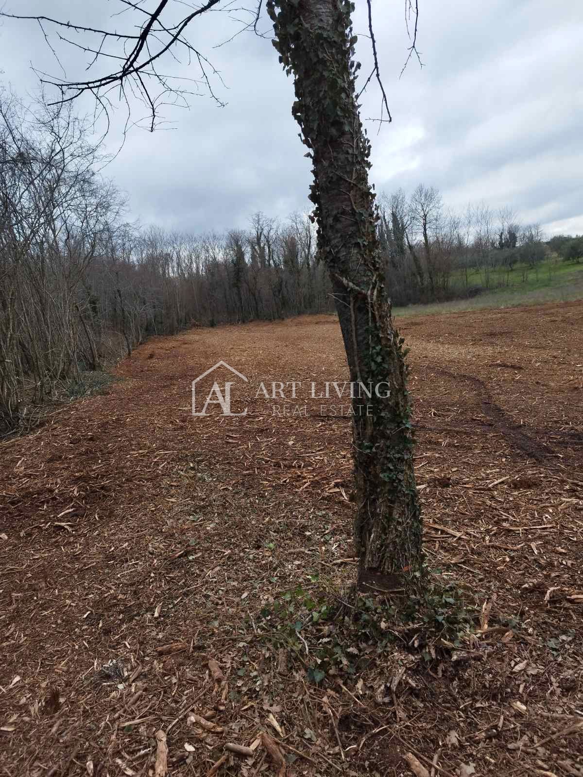 Istria, Barban - ampi terreni agricoli e forestali vicino a Barban