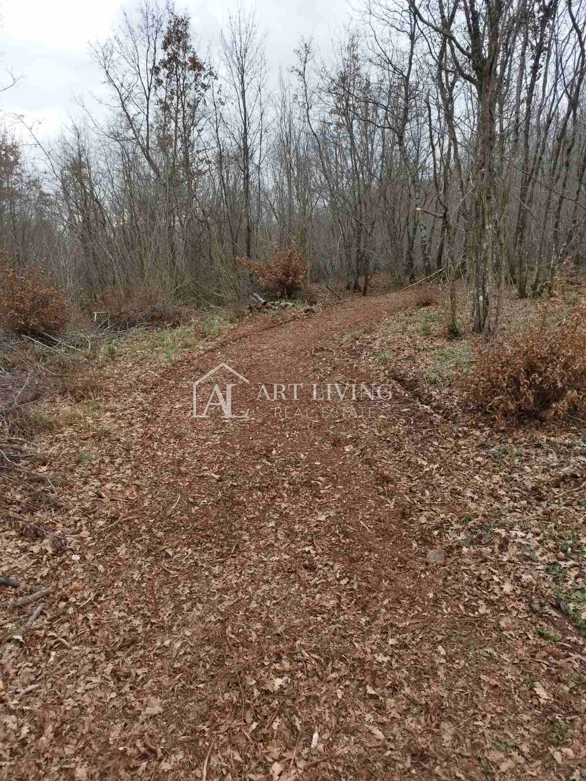 Istria, Barban - ampi terreni agricoli e forestali vicino a Barban