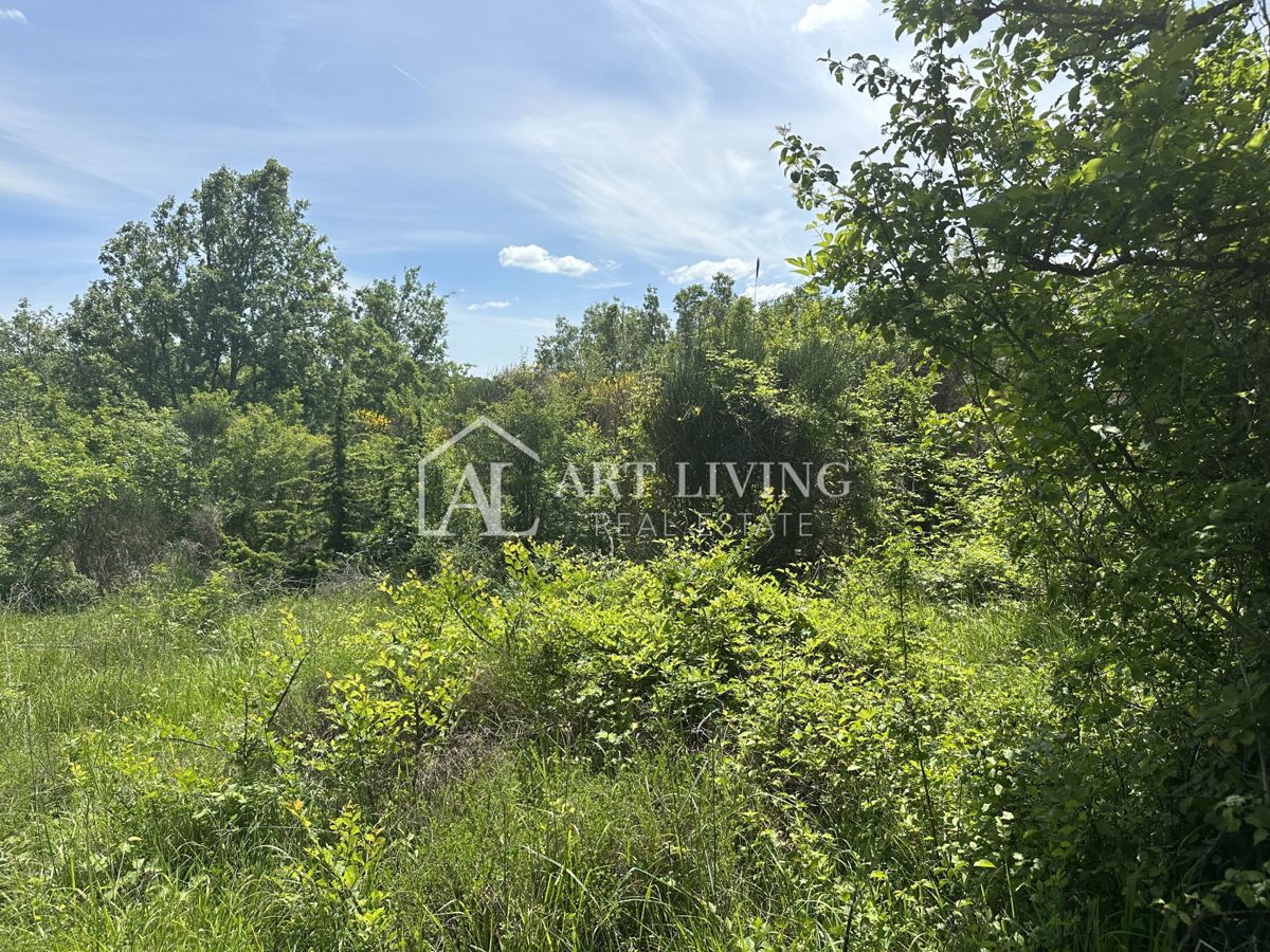 Brtonigla, dintorni – terreno agricolo – posizione tranquilla e naturale
