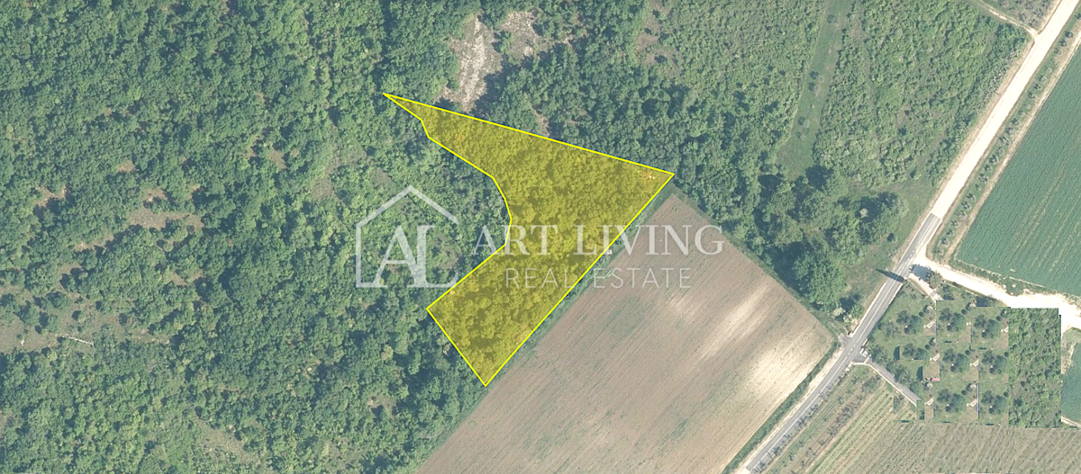 Brtonigla, dintorni – terreno agricolo – posizione tranquilla e naturale