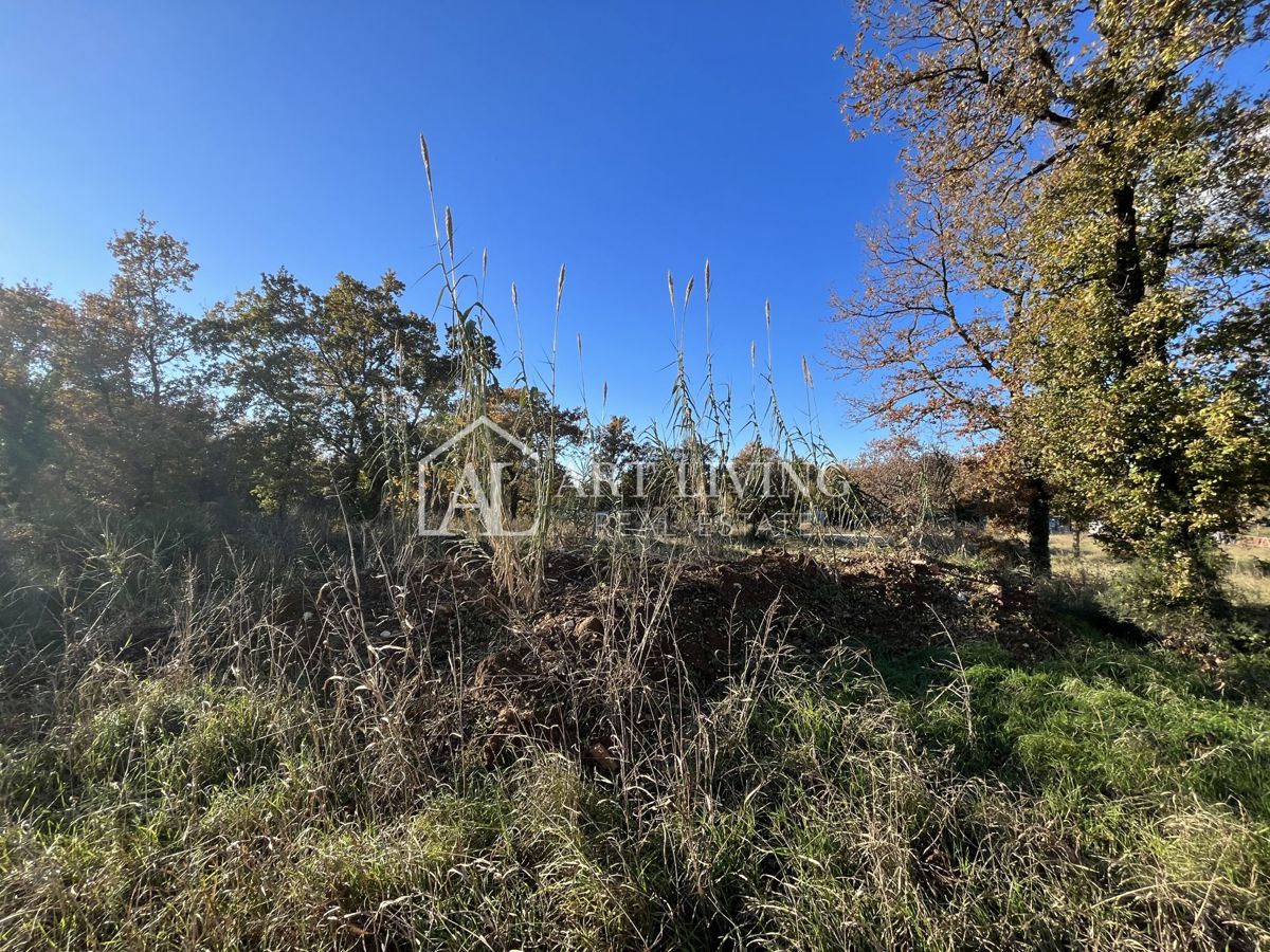 Brtonigla, dintorni – terreno agricolo – posizione tranquilla e naturale