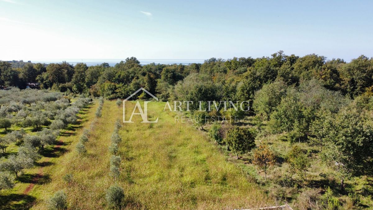 Umago, dintorni – 2 camere da letto + soggiorno, piscina in comune, a 400 m dal mare, OCCASIONE!